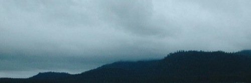 kyle banner