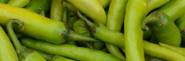 SocialHawker Profile Banner