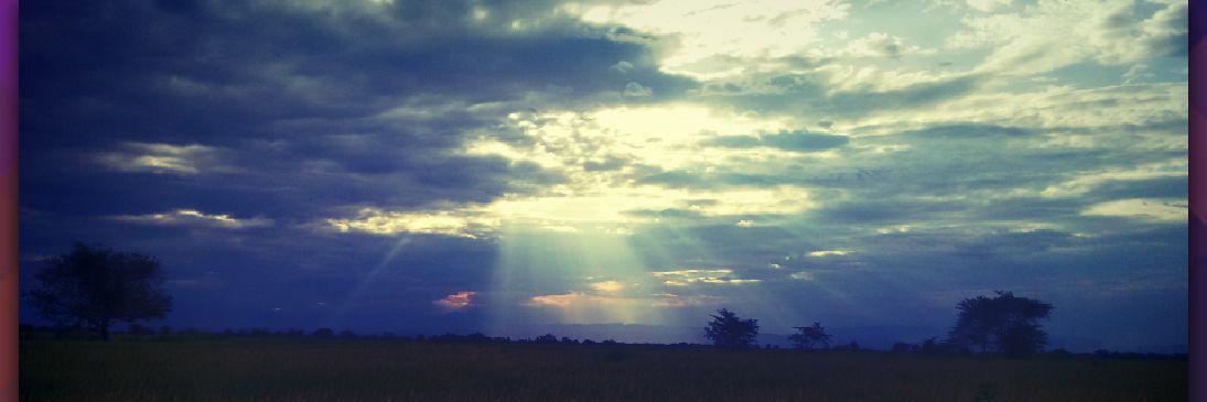 funkulaa's profile banner image