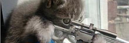 chaichan_giotto's profile banner image