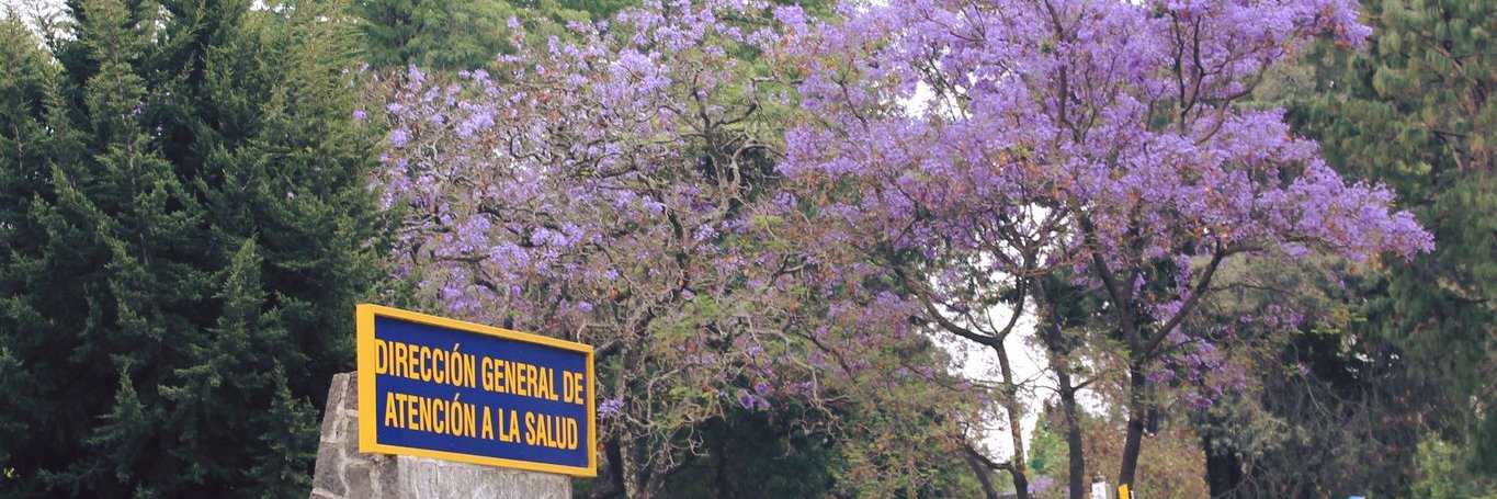 Dirección General de Atención a la Salud, UNAM banner