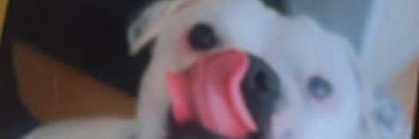 aalejandrapr's profile banner image