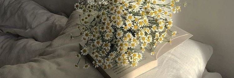 eleanorie_'s profile banner image