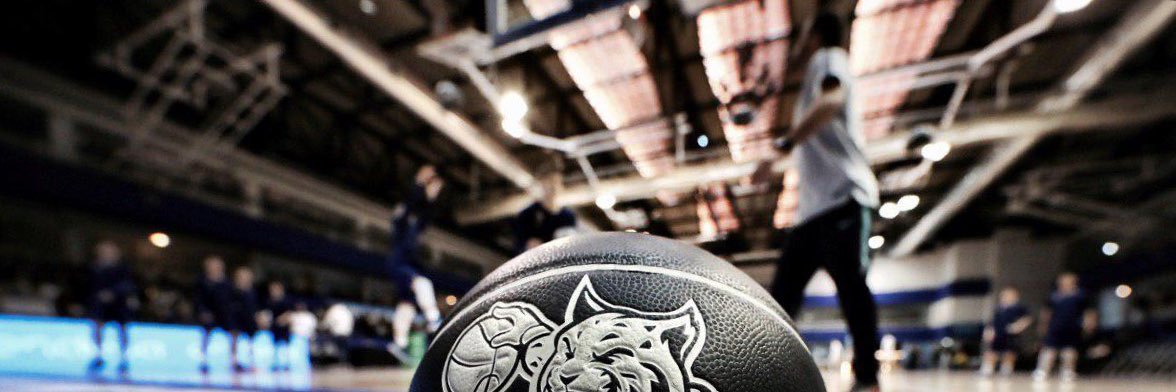 Carles Pintado banner