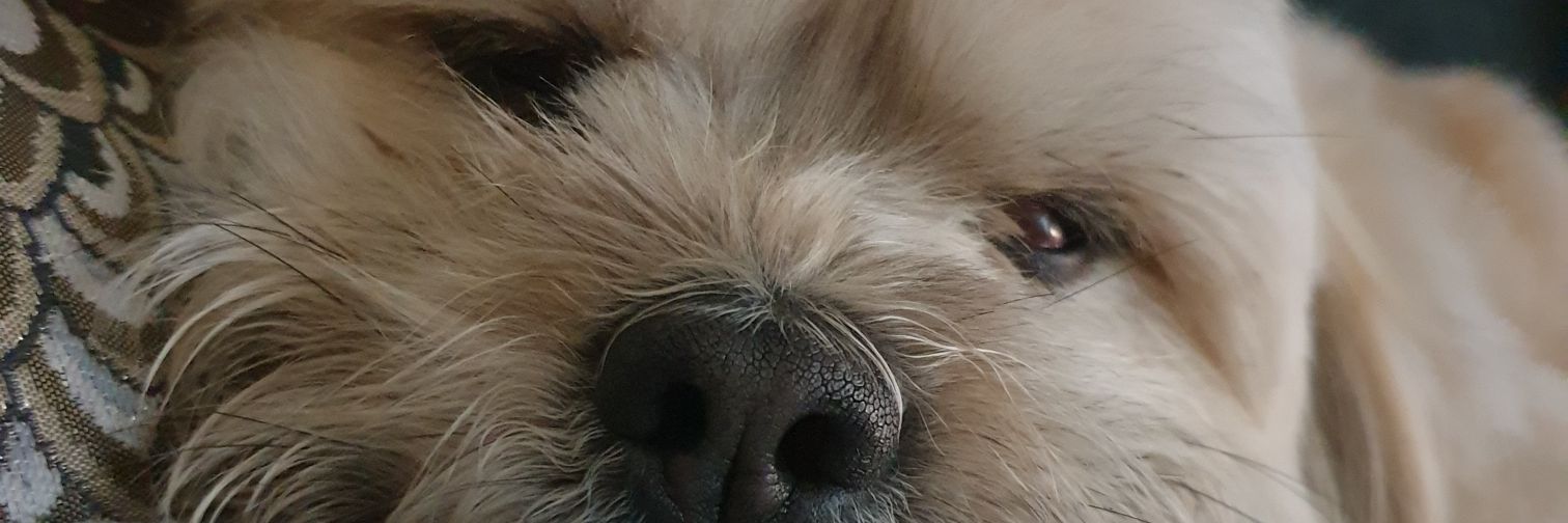vernonroy2's profile banner image