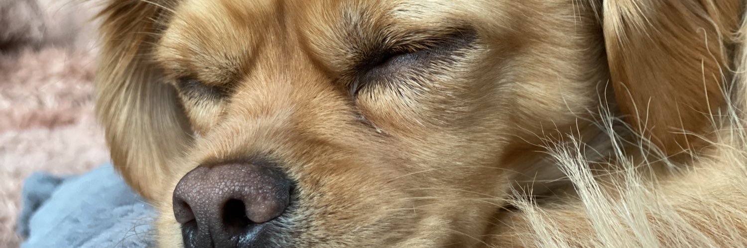 Hannah Graham banner