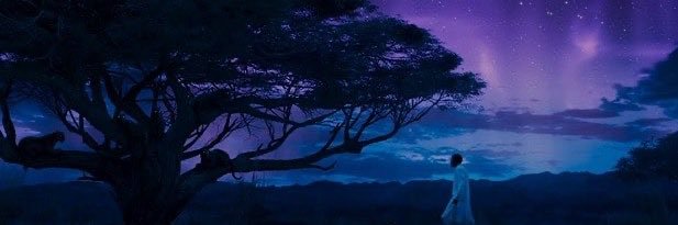 __cien's profile banner image