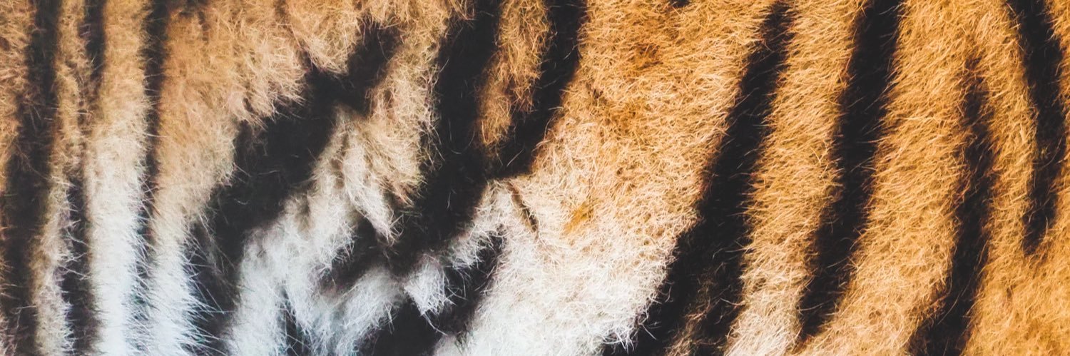 JorgeRKT's profile banner image