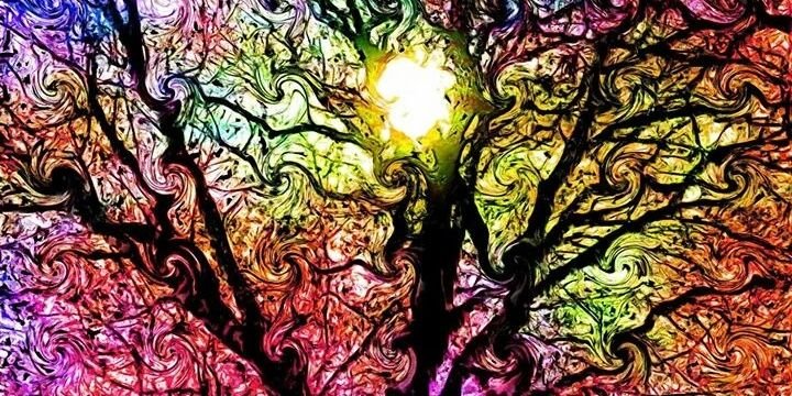 KristaM_Dixon's profile banner image