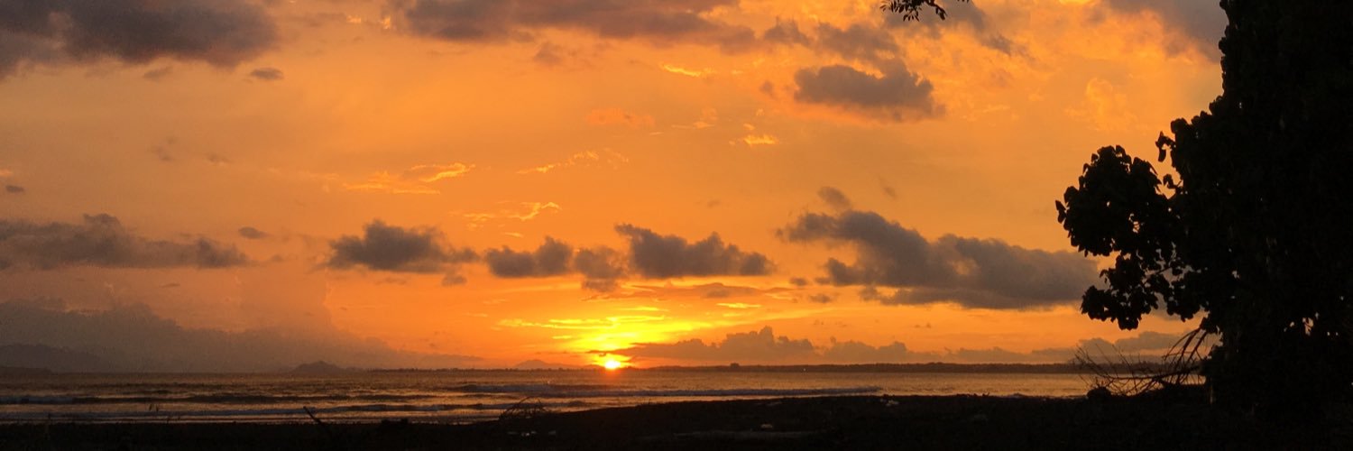 leocalvocr's profile banner image