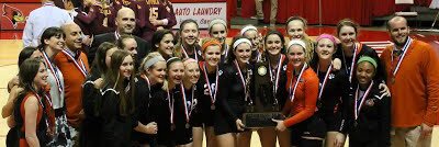 Wildcat Volleyball banner