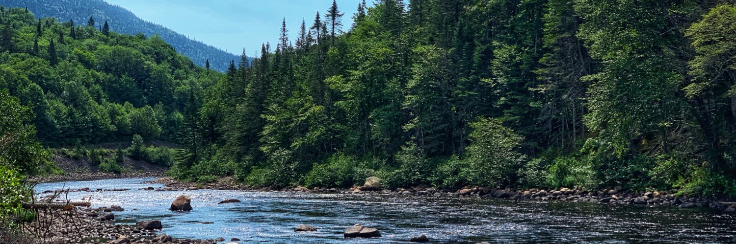 C_Bridgewater_'s profile banner image