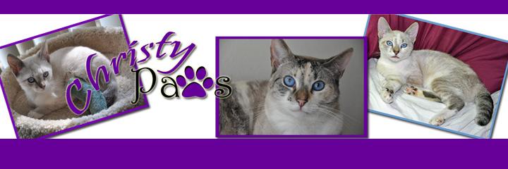 ChristyPawsChat's profile banner image