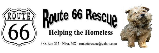 Route 66 Rescue, Inc banner