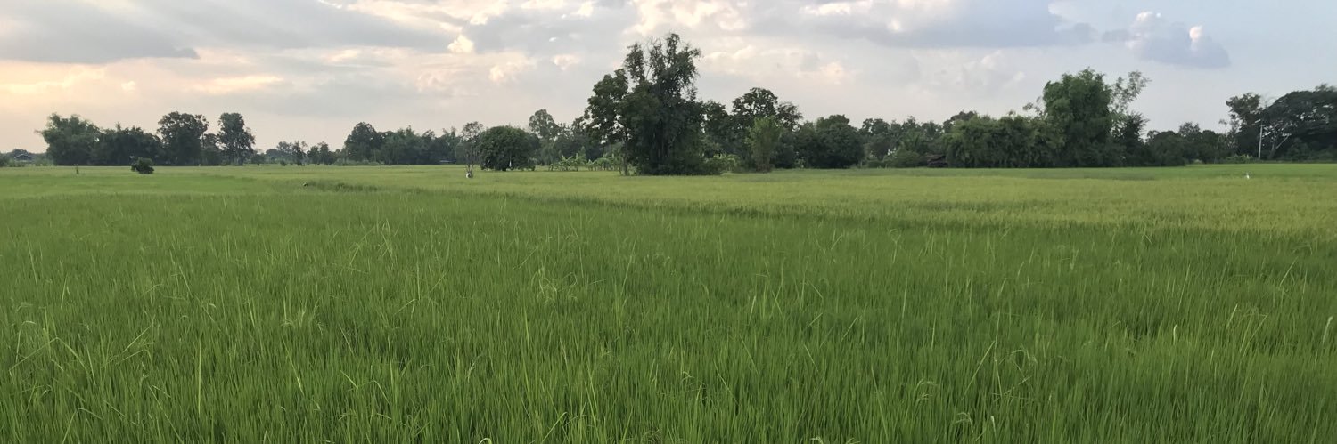 Patchraporn_t's profile banner image