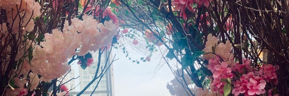 amandamari8's profile banner image