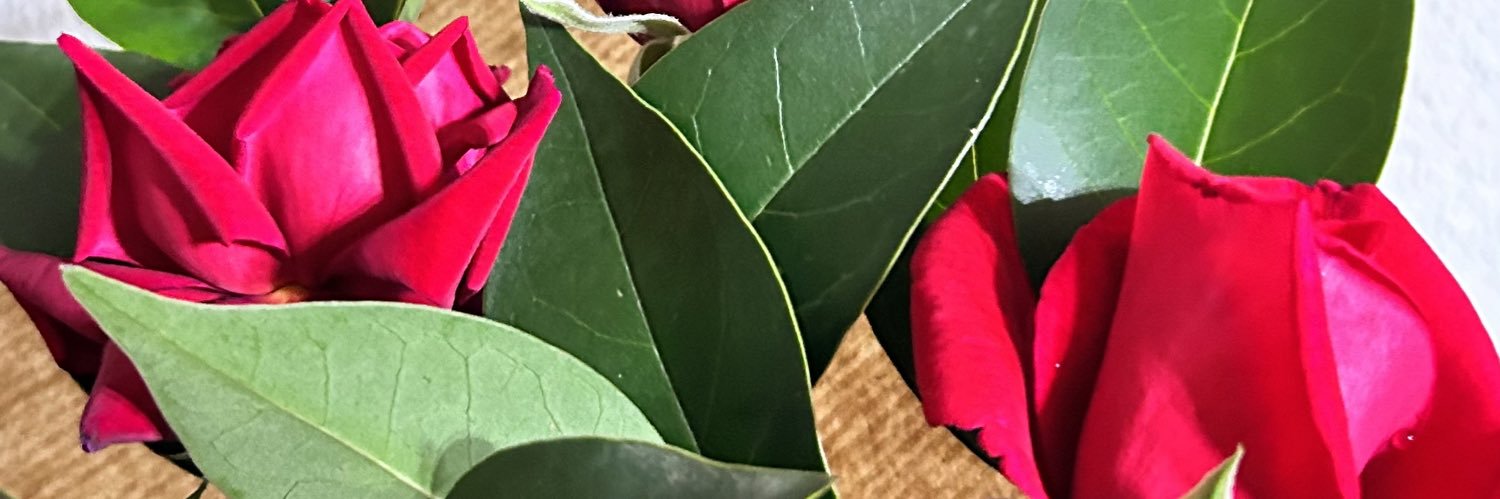andreaatruebaa's profile banner image