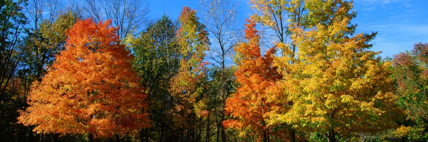 Lorain County Gov banner