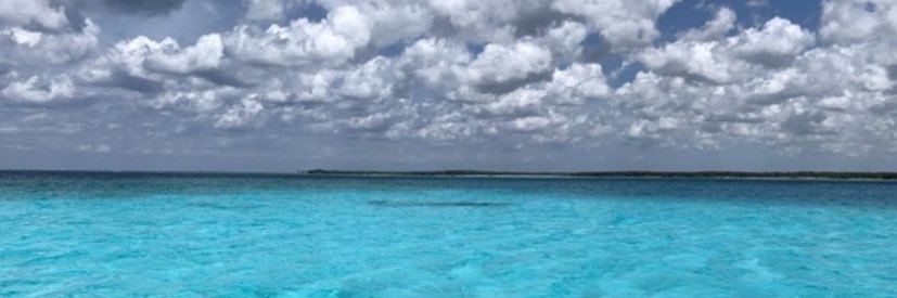 reneefrey1's profile banner image