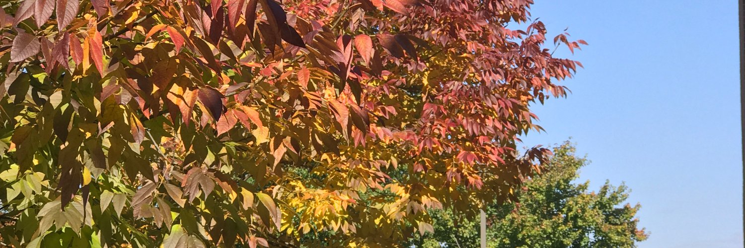 KiltedPoet's profile banner image