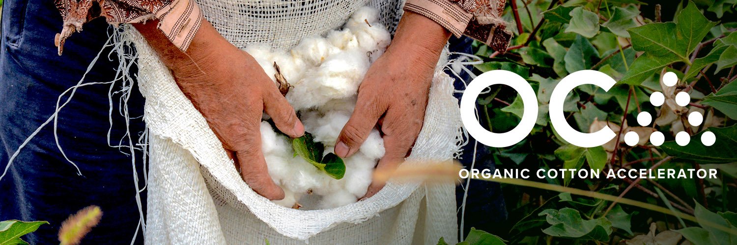 Organic Cotton Accelerator banner