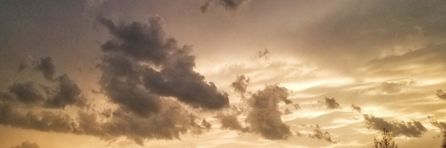 LivinTexas's profile banner image