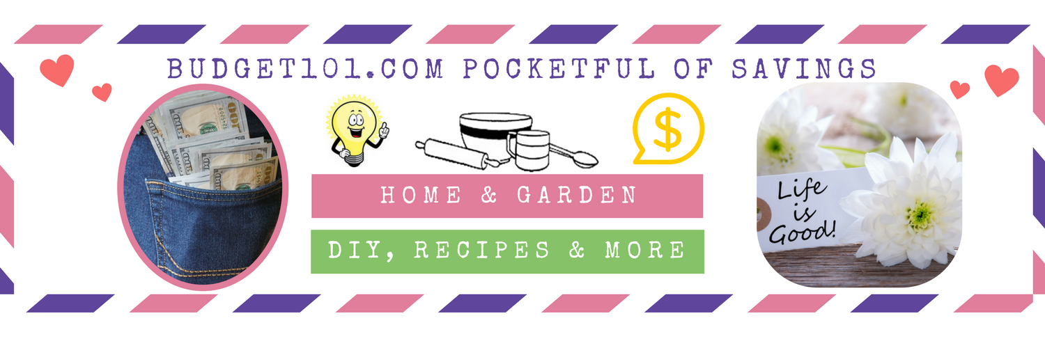 Budget101.com banner