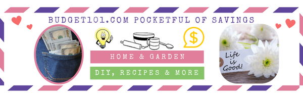 Budget101 Profile Banner
