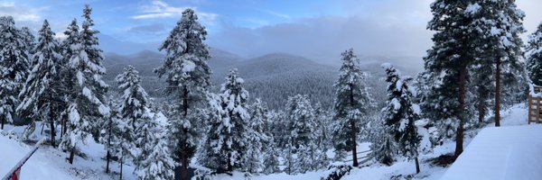 bond_designs Profile Banner