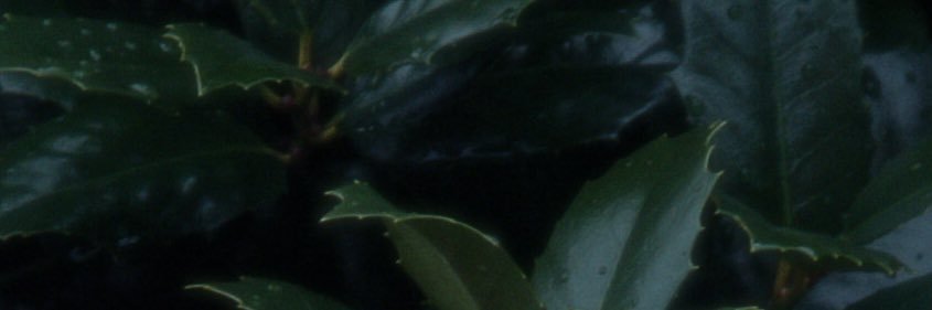 slowishhands's profile banner image