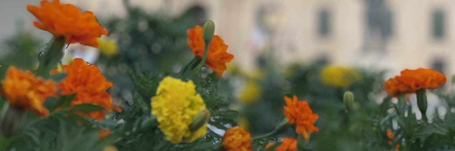 usyuswath's profile banner image
