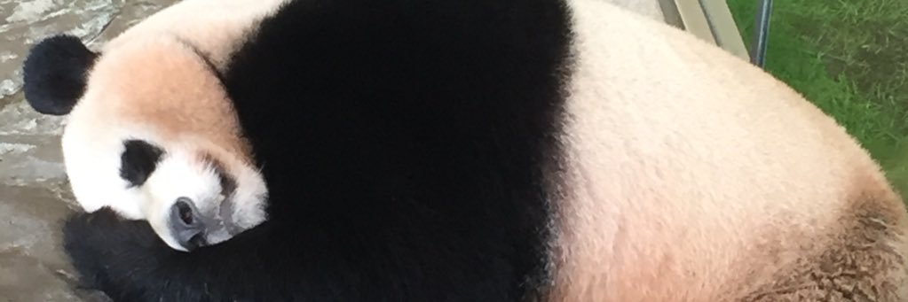 sts2230's profile banner image