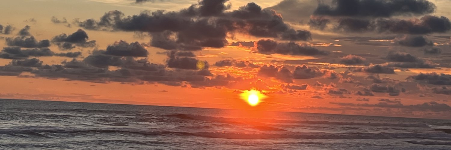 dennisibiris's profile banner image