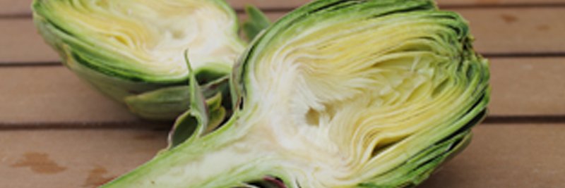 Caparra banner