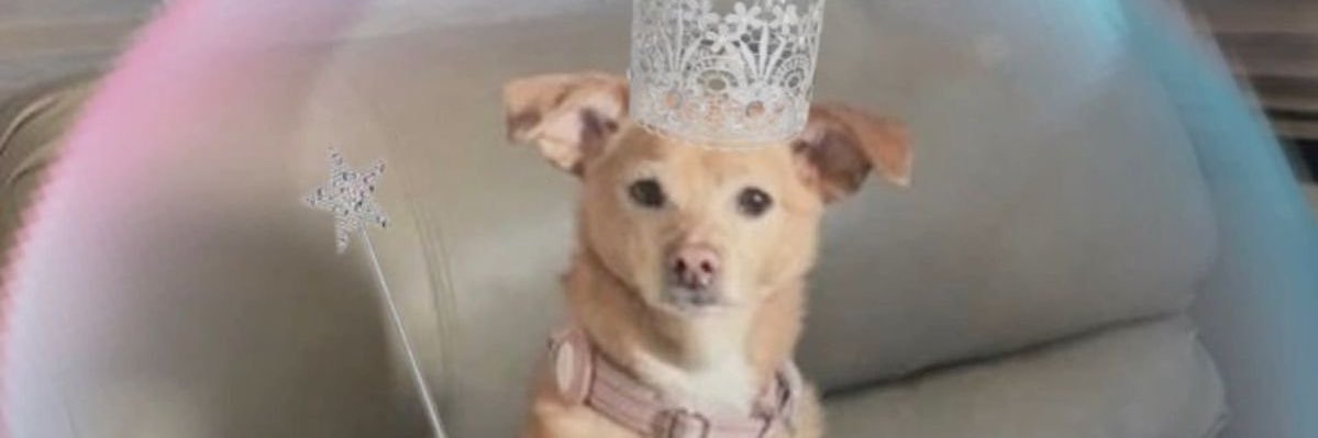 grandescode's profile banner image