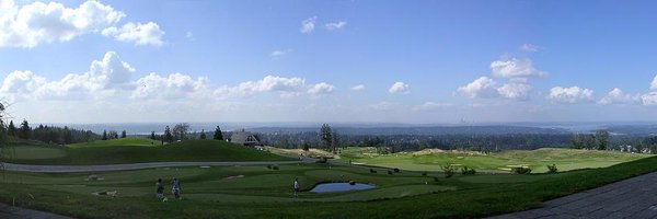 Mercerislander Profile Banner