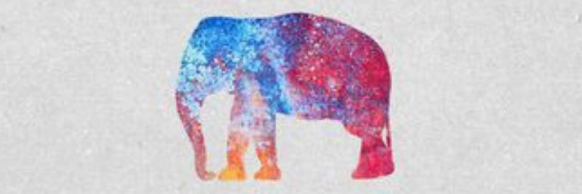 Bluelephant7330's profile banner image