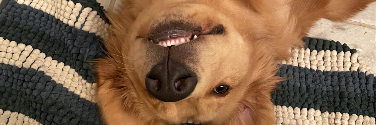 _vichenzo's profile banner image