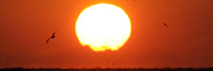 lywhsuk's profile banner image