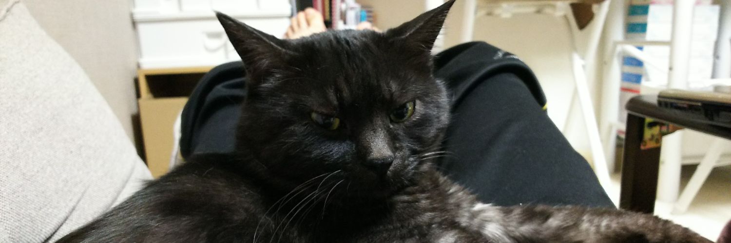 junkikki_'s profile banner image