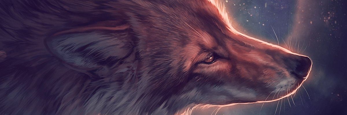 The-Fox-Furie banner