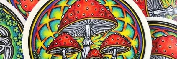 RedGabcsika Profile Banner