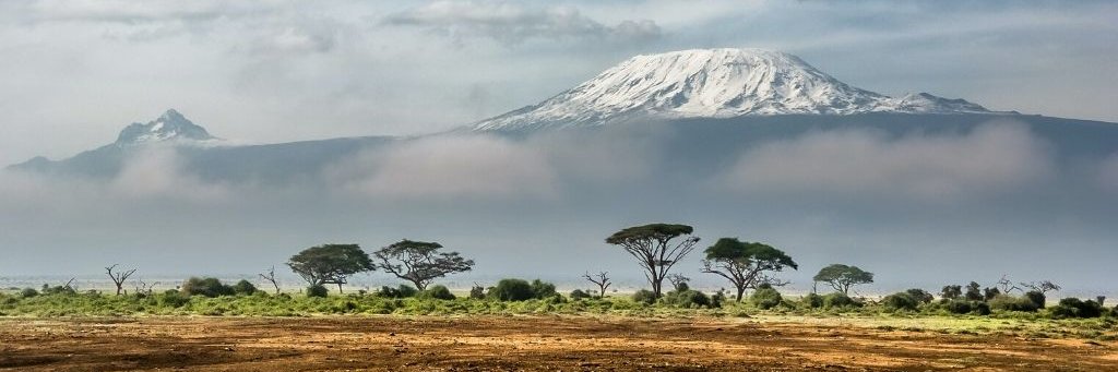 Marco Bavagnoli 💙🇮🇹 banner