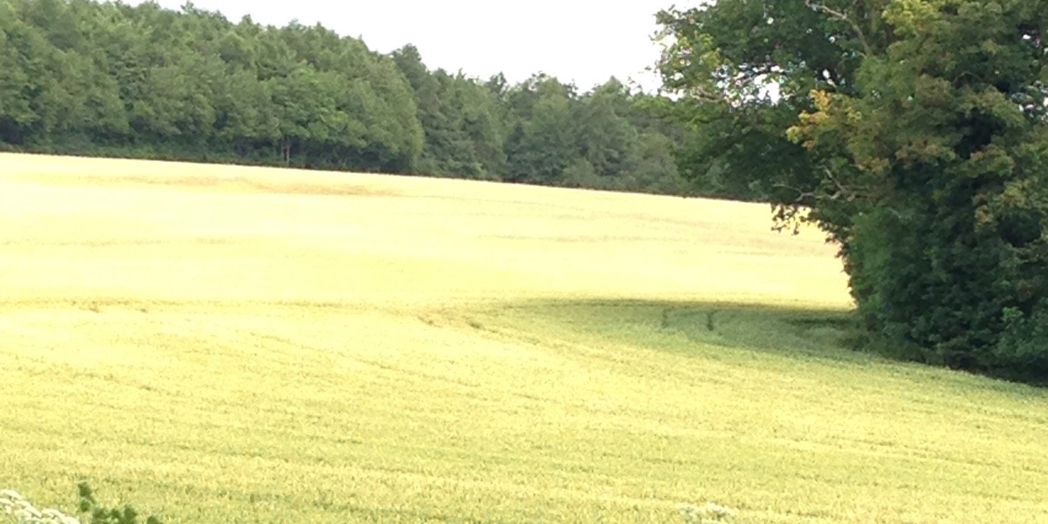 Dr Sheila Preston banner