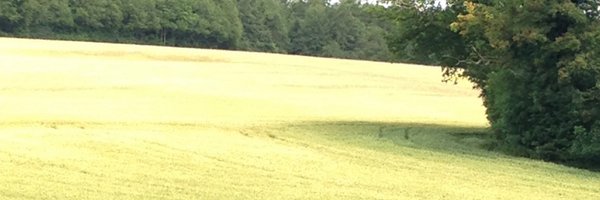 SheilPreston Profile Banner