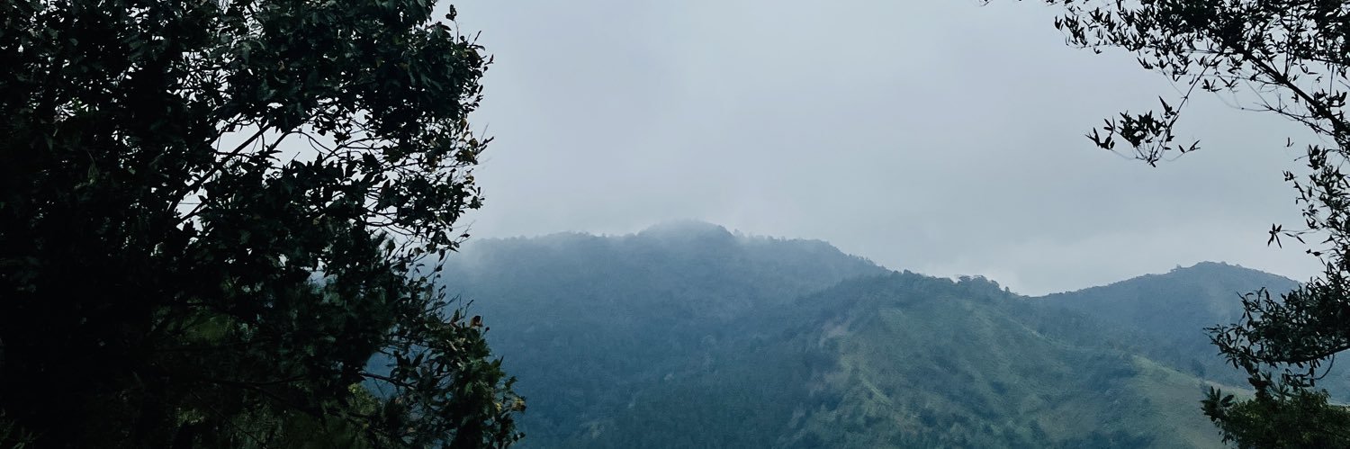 eye_suree's profile banner image