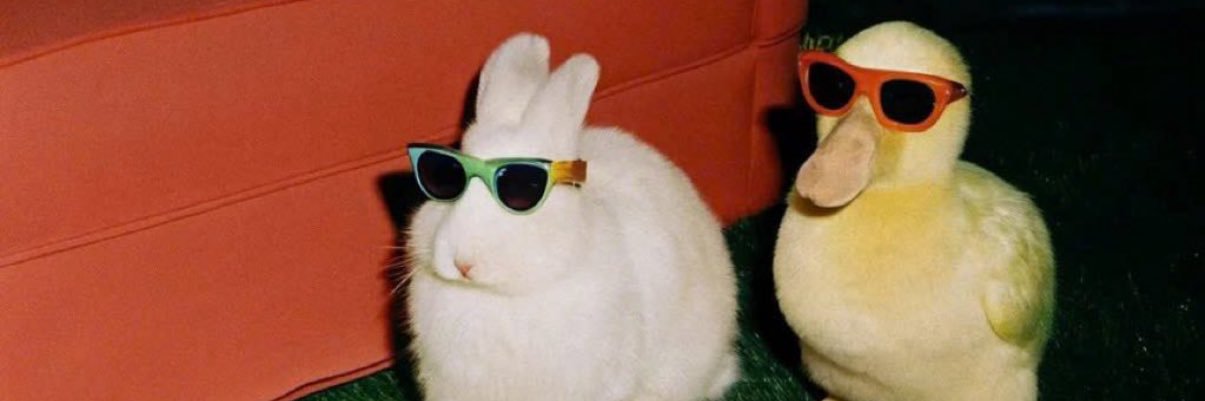 DrizTakesProfit's profile banner image