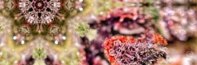 CashMerrcas's profile banner image