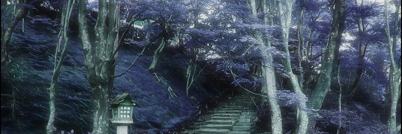 willHz_ banner