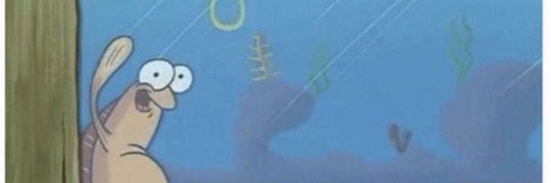 koifishgal's profile banner image